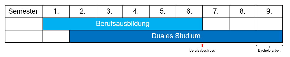 Darstellung Aufbau des dualen Studiums